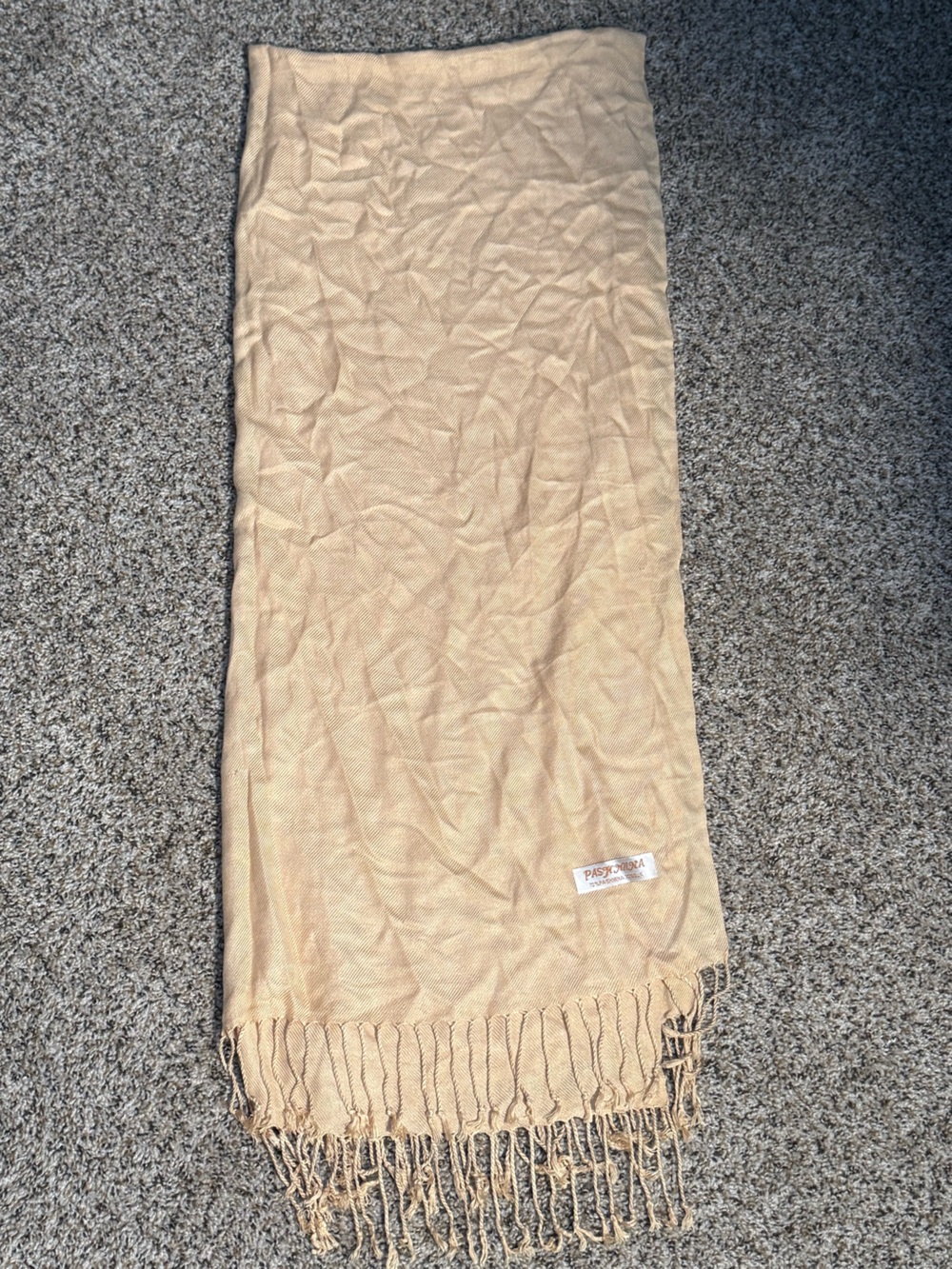 Pashmina Neutral Beige Silk-Blend Scarf